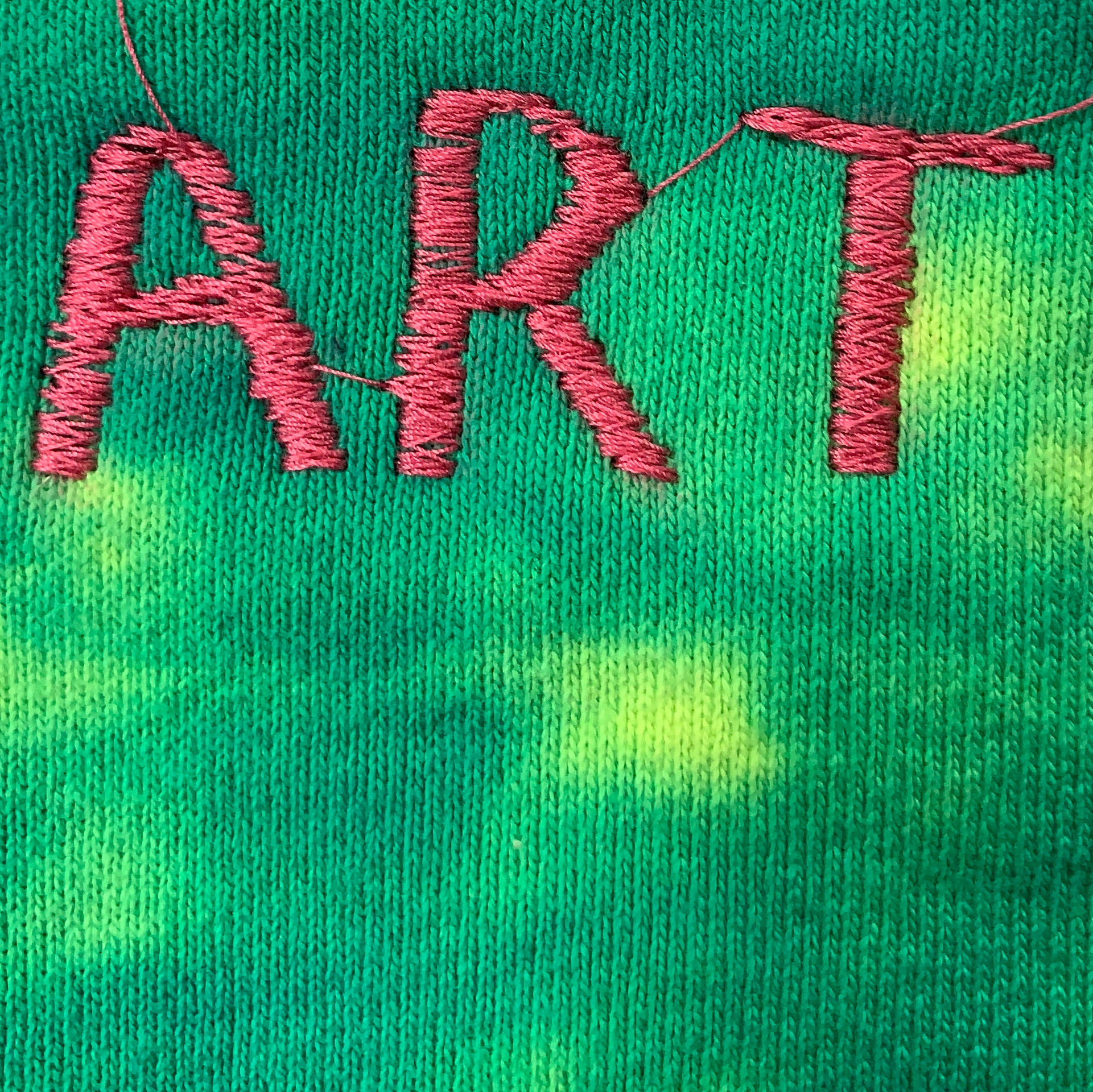 Embroidered and Dyed Crewneck - L
